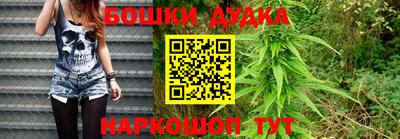 МДПВ Сланцы