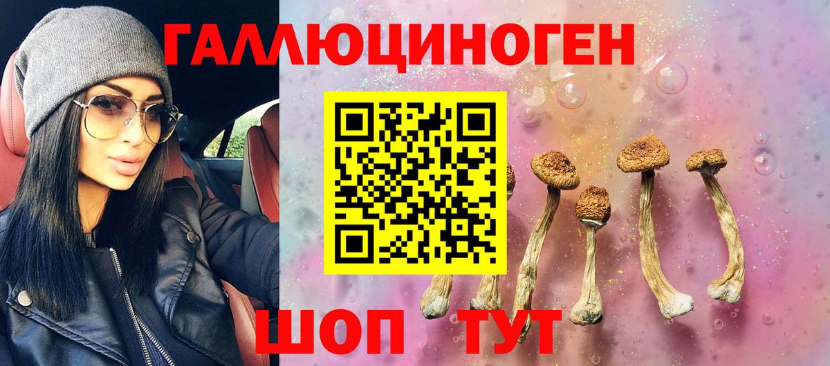Псилоцибиновые грибы Psilocybe Подольск